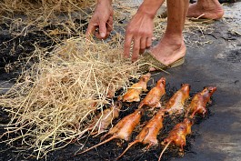 Thịt Chuột Phượng Trì